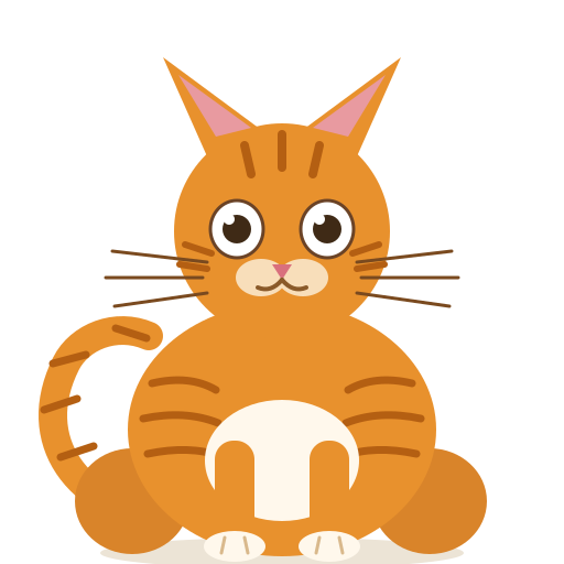 第0轮的橘猫